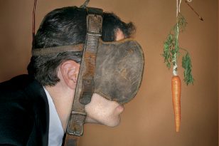 carrot The Winning Mind Set