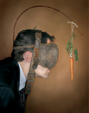 carrot The Winning Mind Set